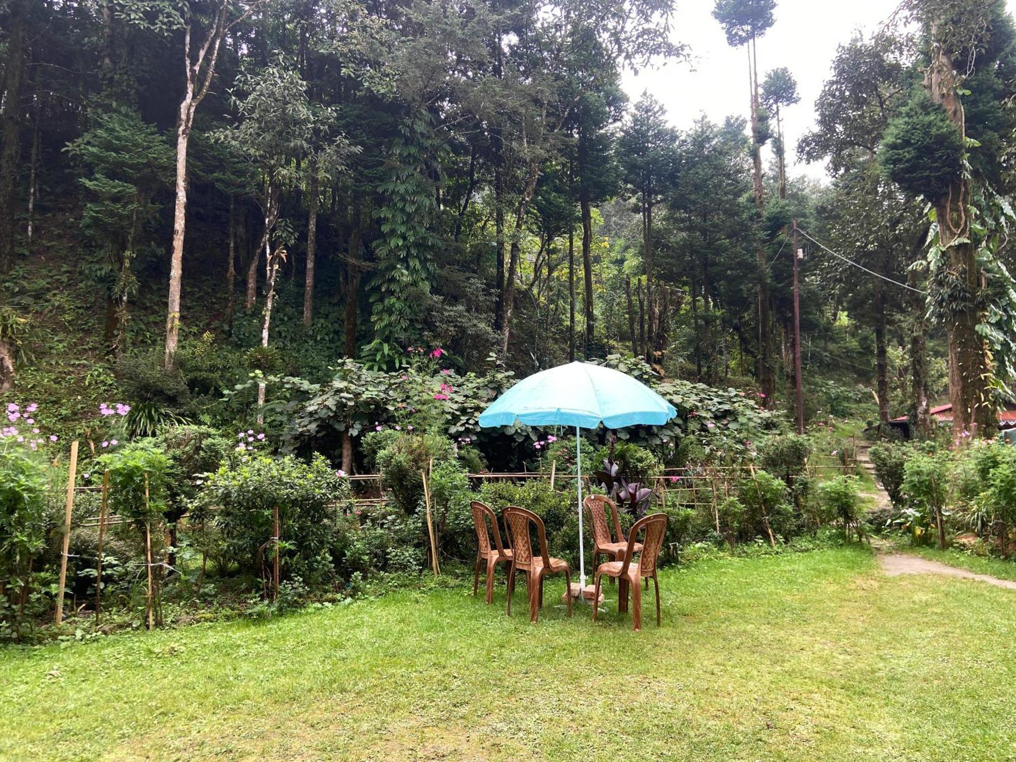 Magnolia Farmhouse And Homestay Darjeeling  Bagian luar foto